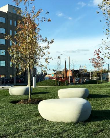 John Rebecca Park, organic shaped bench